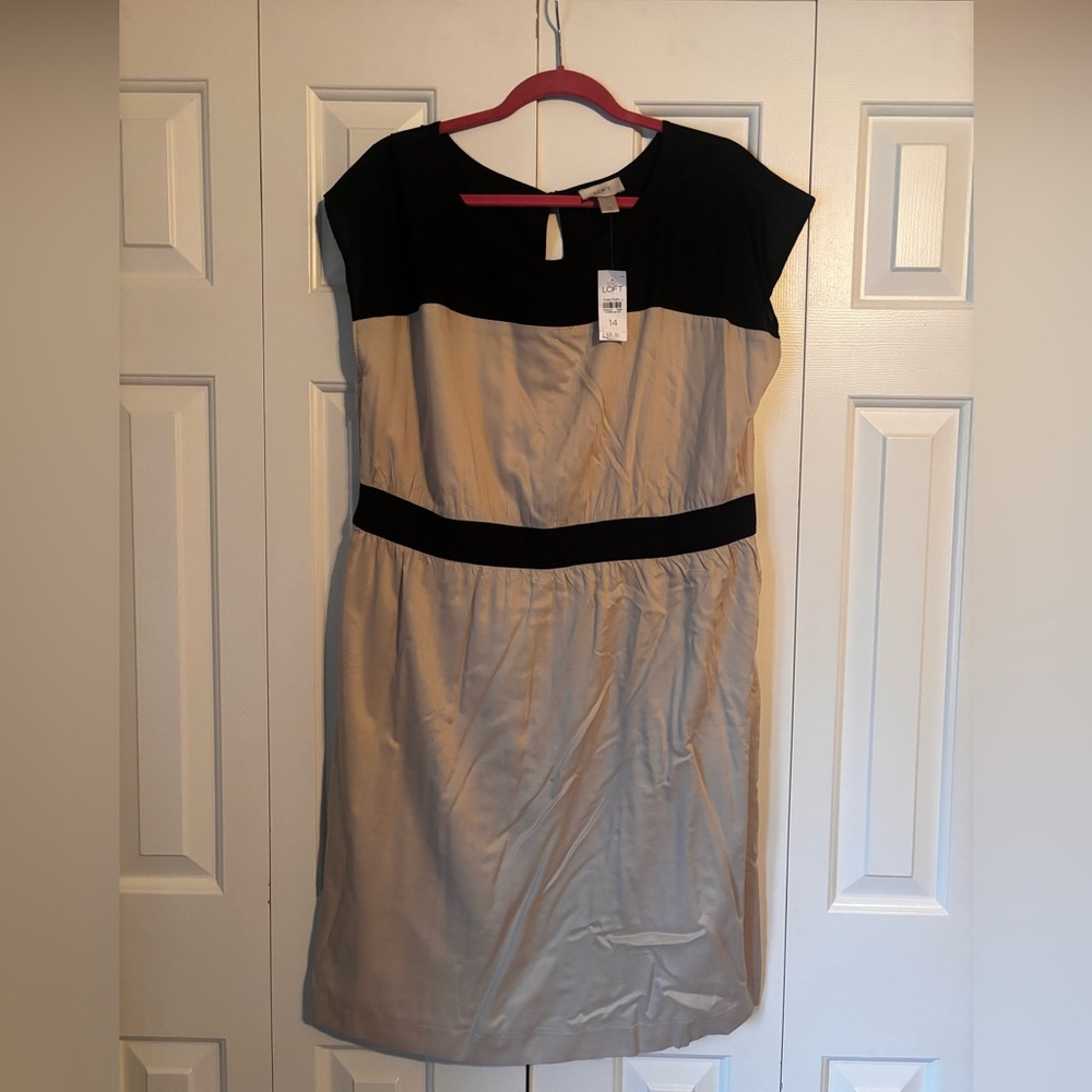 LOFT Black and Tan Dress NWT